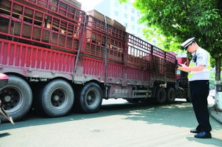 成都貨運汽車入城證競價創(chuàng)新高，52萬元引發(fā)行業(yè)深層思考