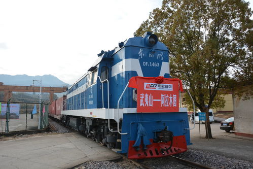 全球復(fù)蘇前景仍不確定，中國經(jīng)濟(jì)穩(wěn)定器作用凸顯——以道路貨物運(yùn)輸為觀察視角